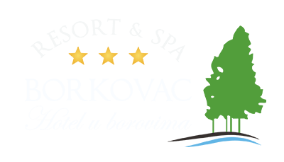Hotel Borkovac